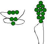 Step 5