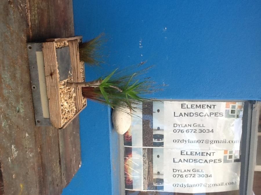 Obal-Drift planter
Restio & Aloe
100%Green Product