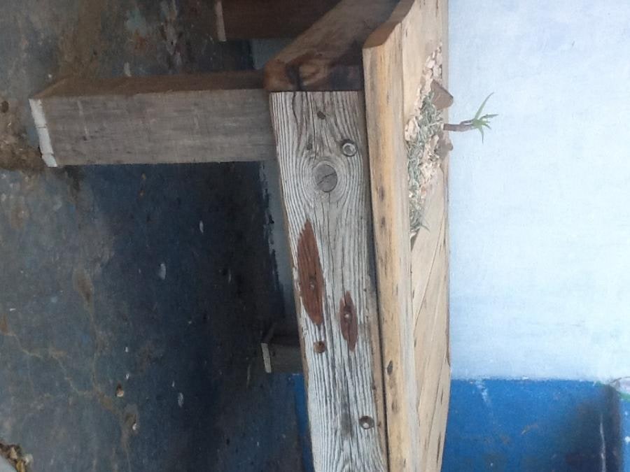 Driftwood Coffee Table
Dymondia&Aloe