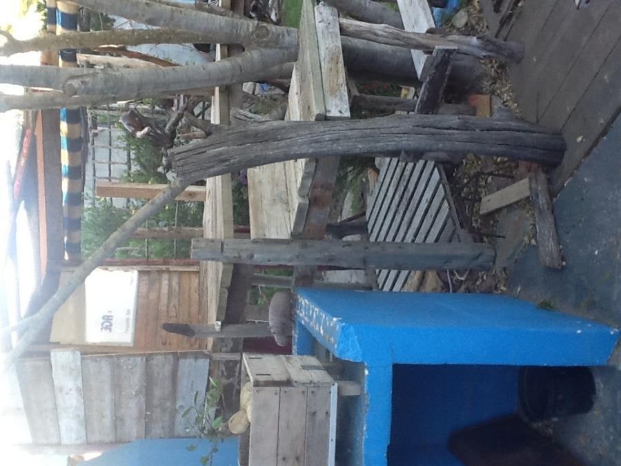 Global-Drift Tree House with Skylight