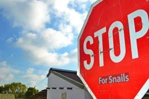 Slow down...