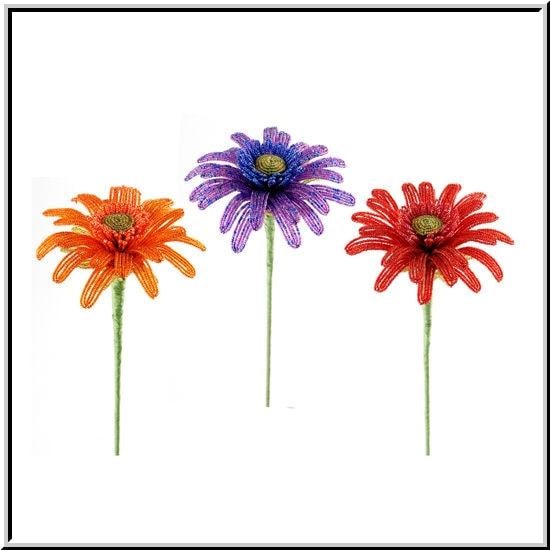 gerbera