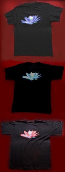 Water lilies