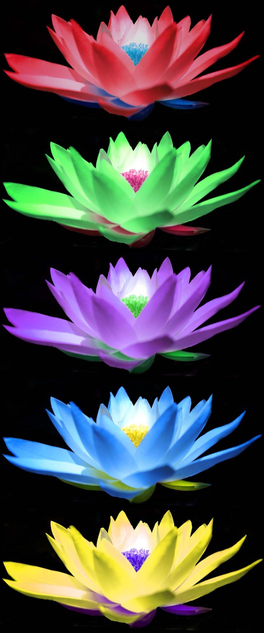 Water lily designs