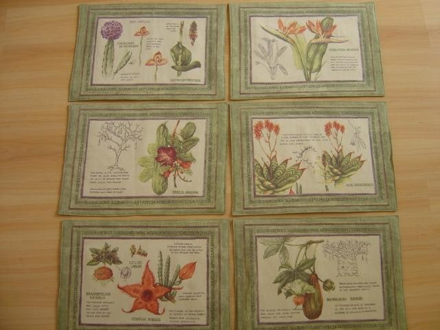 African Plant Place Mats