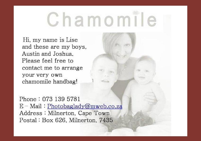 chamomile