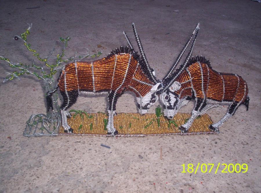 fighting gemsbok