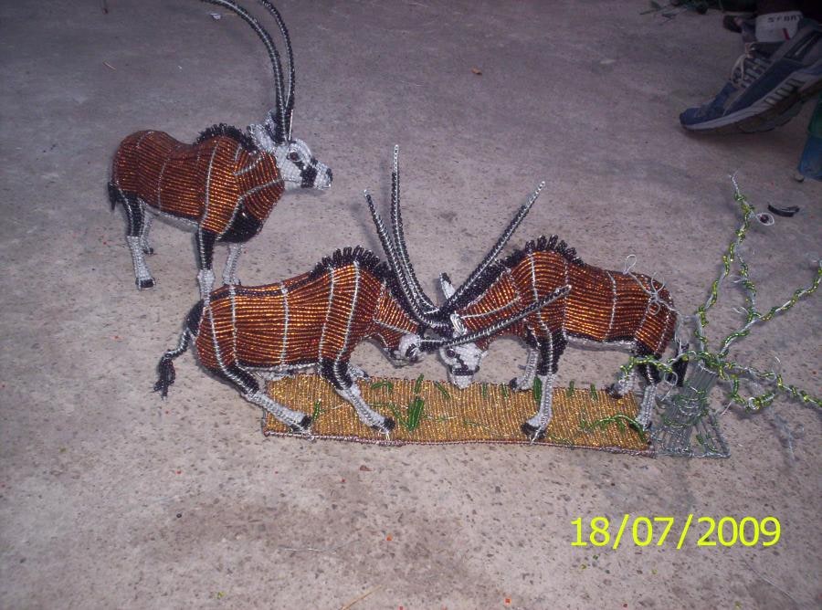 Gemsbok family
