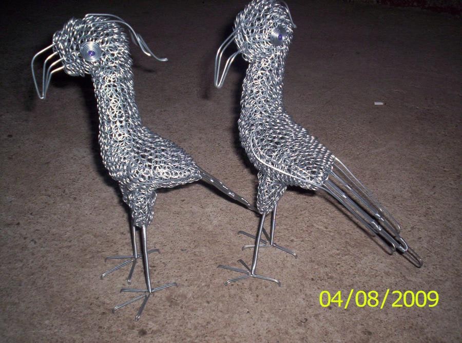Plain Wire Secretary birds
