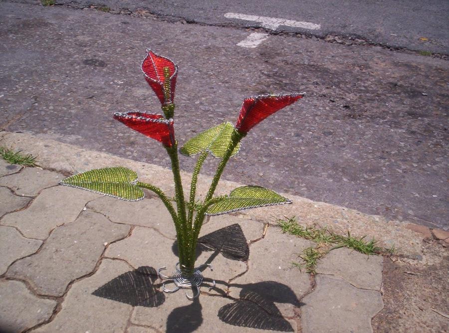 Beaded Lily flower