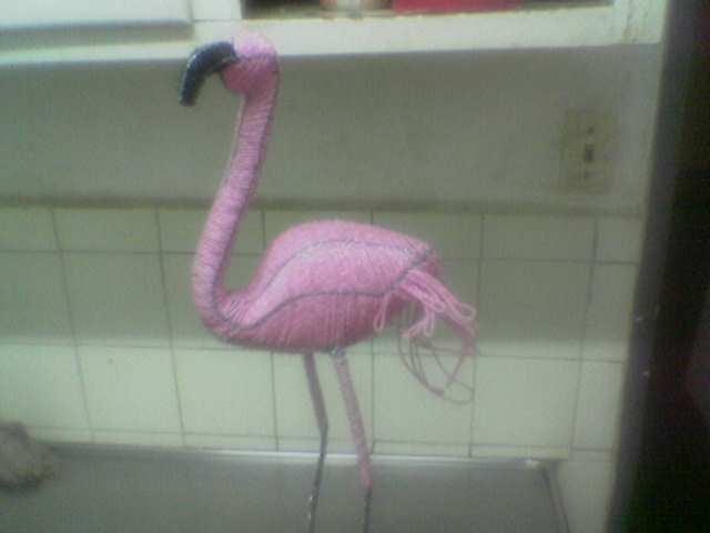 medium flamingo pink bird
