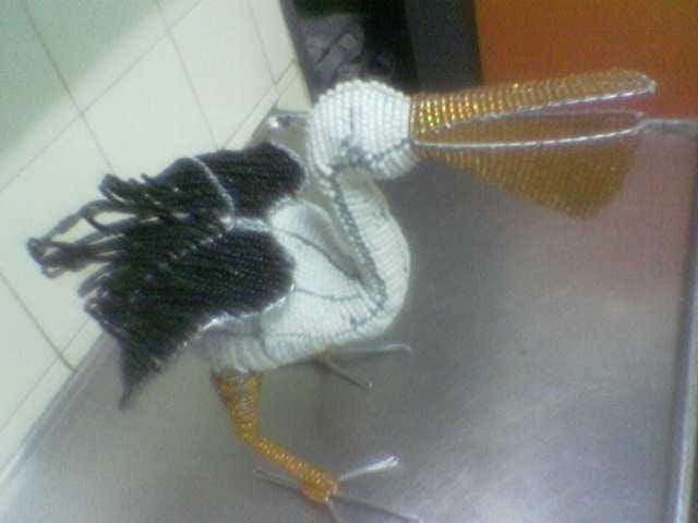 qanther bird.
