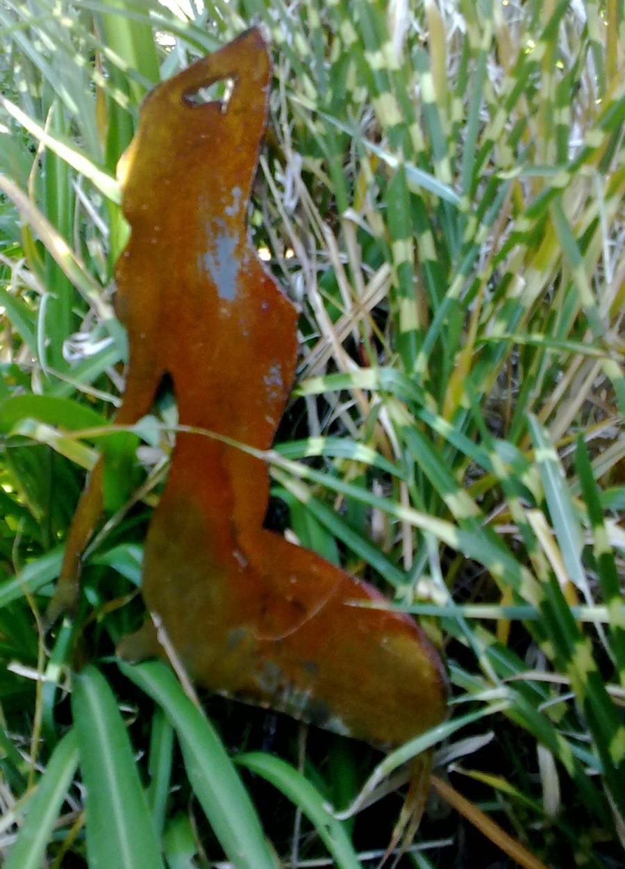 garden stake