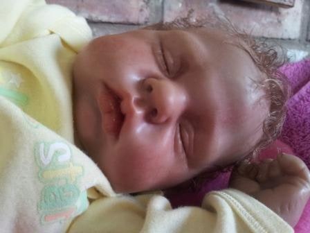 Baby Nod