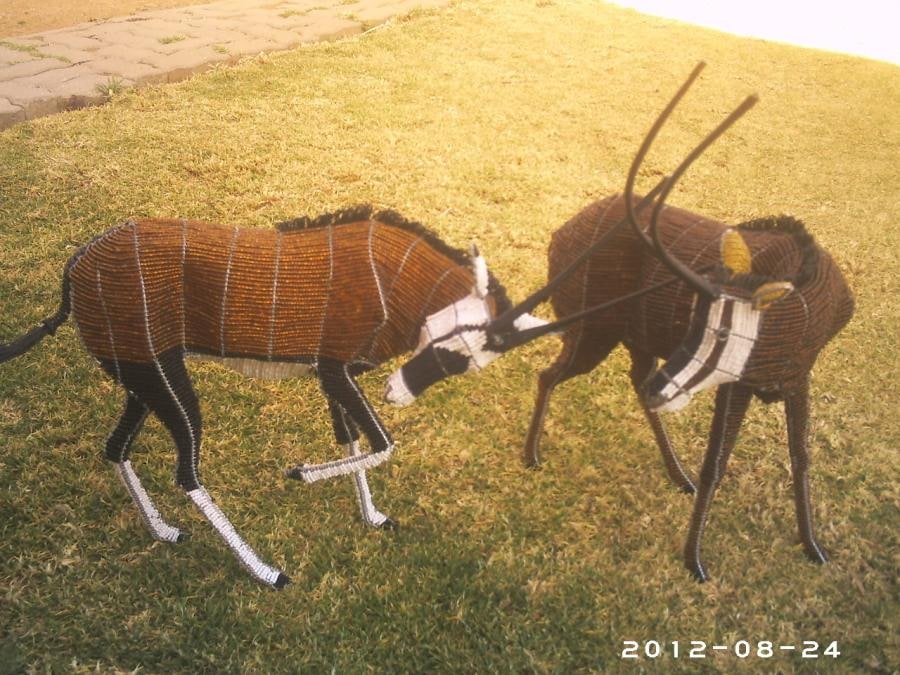 Gemsbok fighting a sable