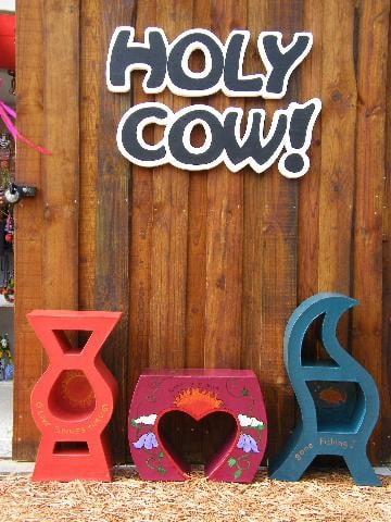 HOLY COW! at Timberlake