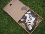 size 230mm x 220 mm in a mdf box with africa motive