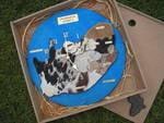 size 330mm x 330mm south africa map watch in mdf box with africa motive on lid.