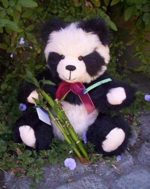 Teddy Bear