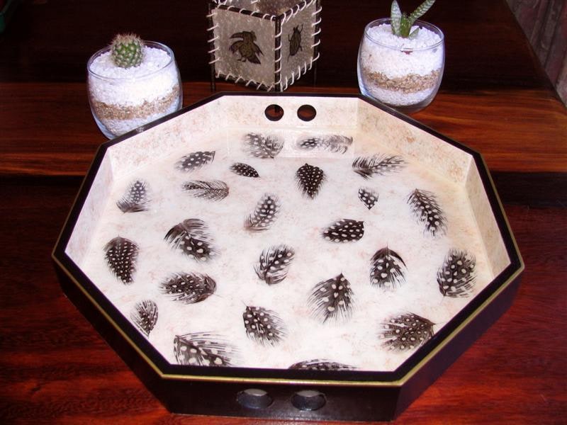 Guinea feather tray